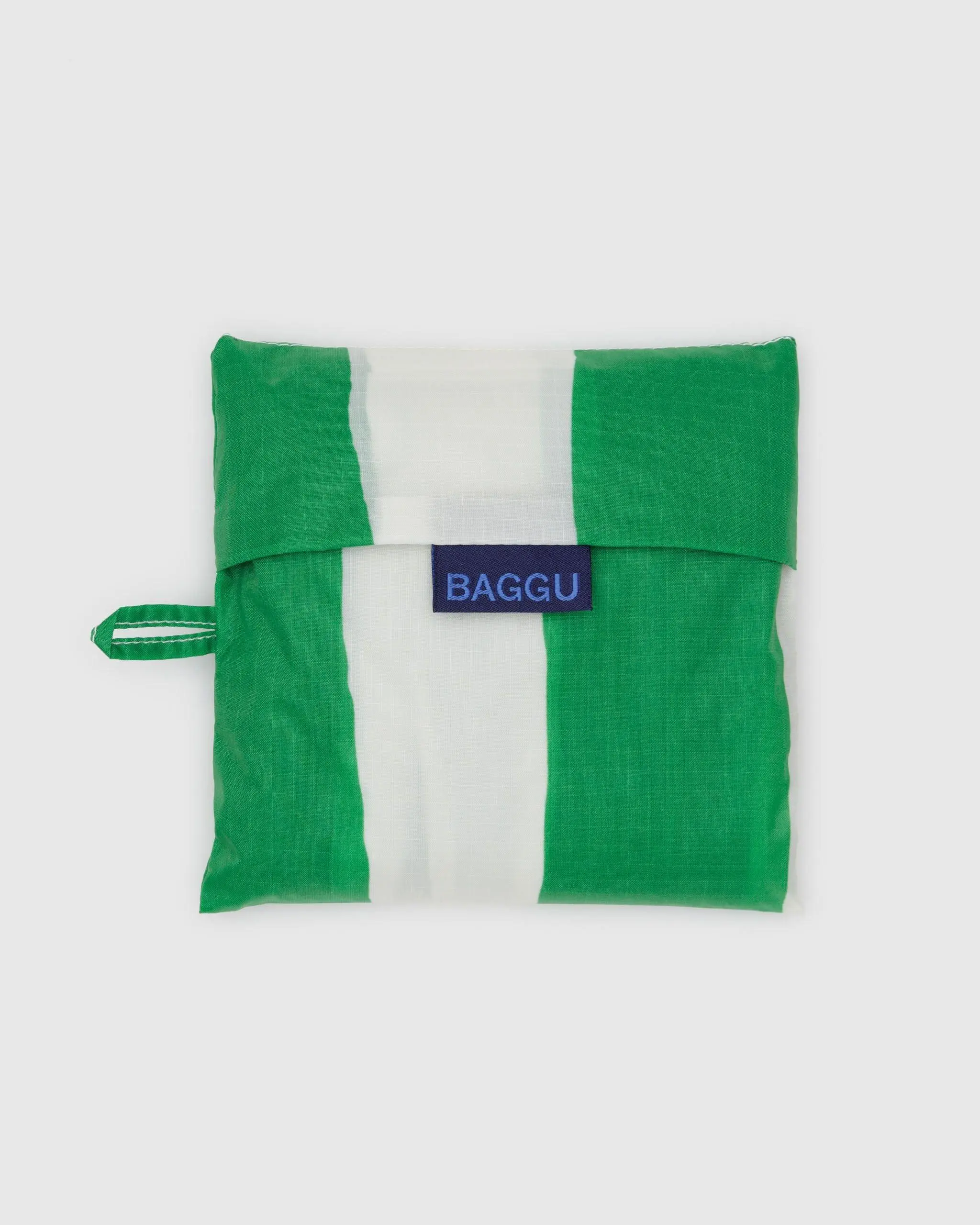Big Baggu Green Painted Stripe - Image 4