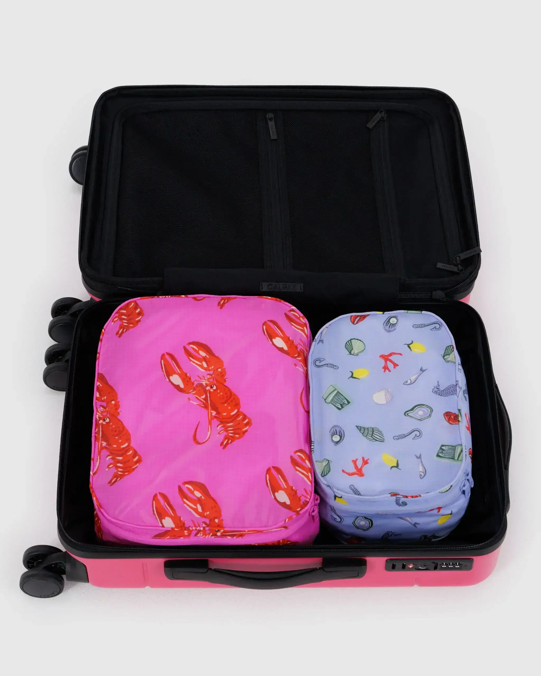 Packing Cube Set Sea Creatures - Image 4